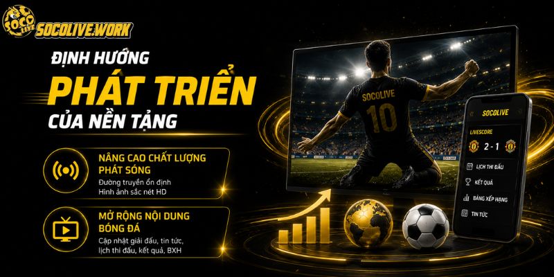 Định hướng phát triển của nền tảng